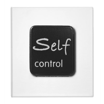 self_control_button_avery_binder-p127268653804308286bf5b4_400