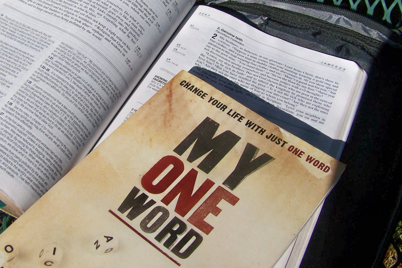 my one word book with bible